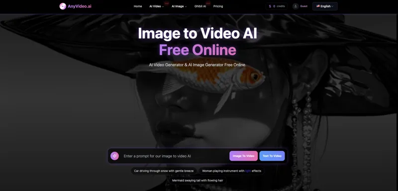 Screenshot of AnyVideoAI