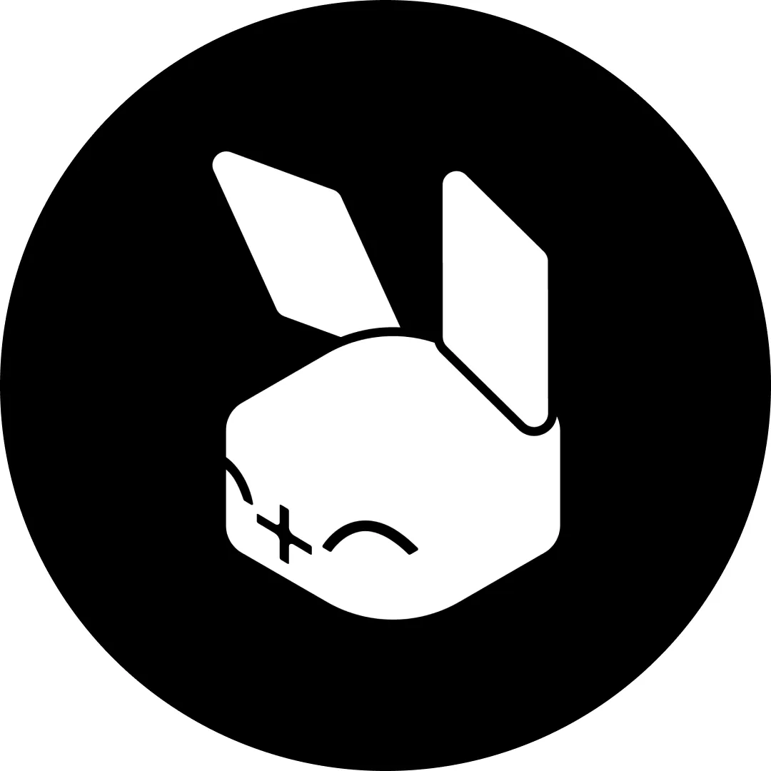 rabbit r1