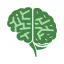 Finance Brain