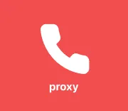 Proxy Call Assistant