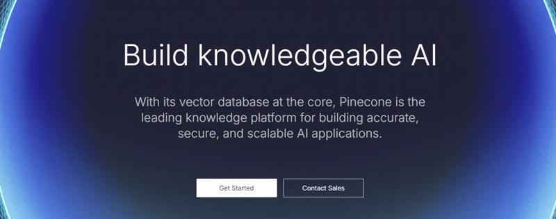Screenshot of Pinecone AI