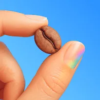 BeanBook