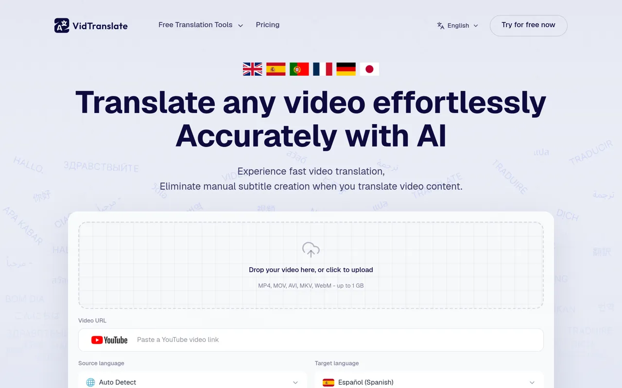Screenshot of VidTranslate