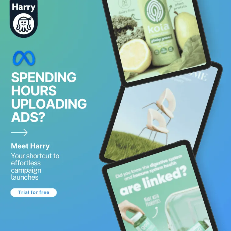 Screenshot of Harry – Automated Ad Campaign Launch Platform