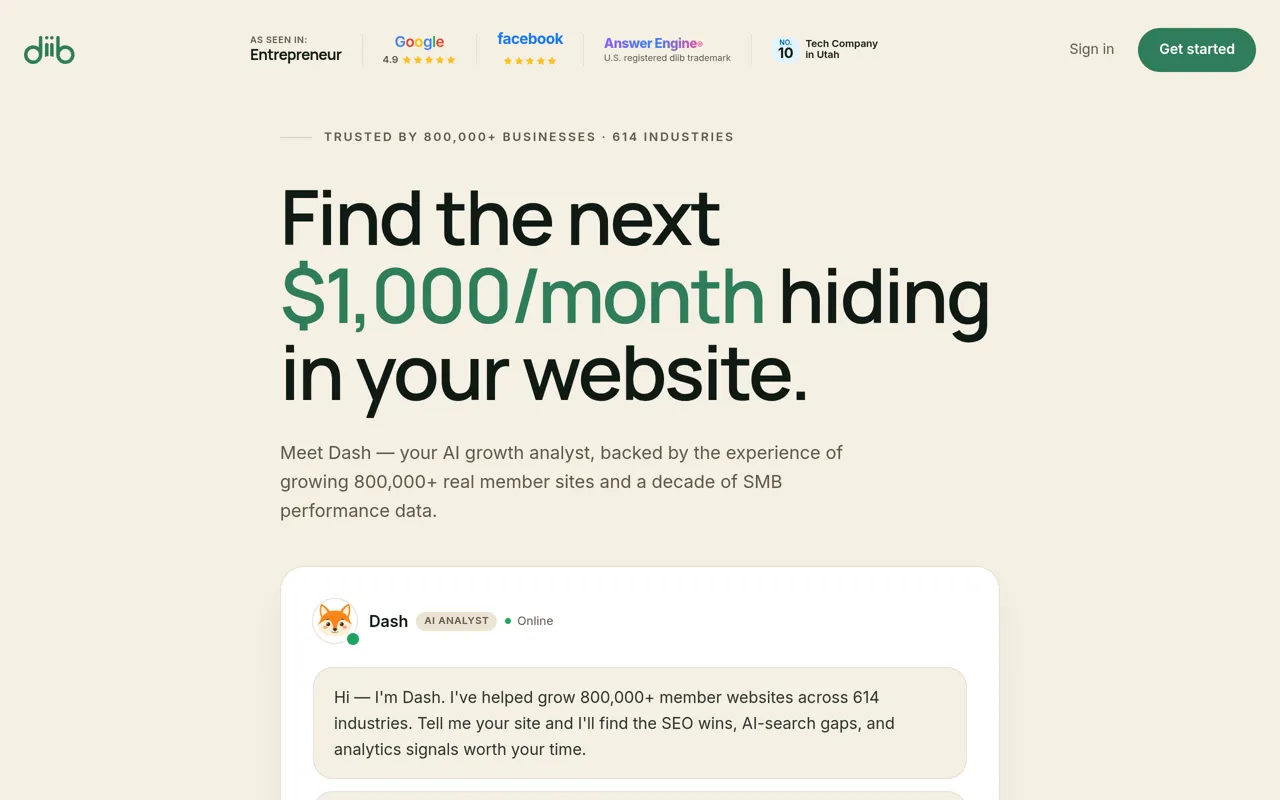 Screenshot of diib