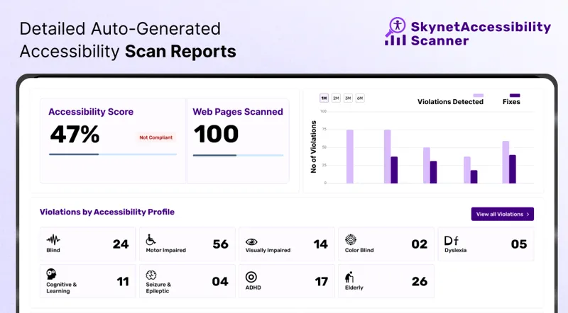 Screenshot of SkynetAccessibility Scanner