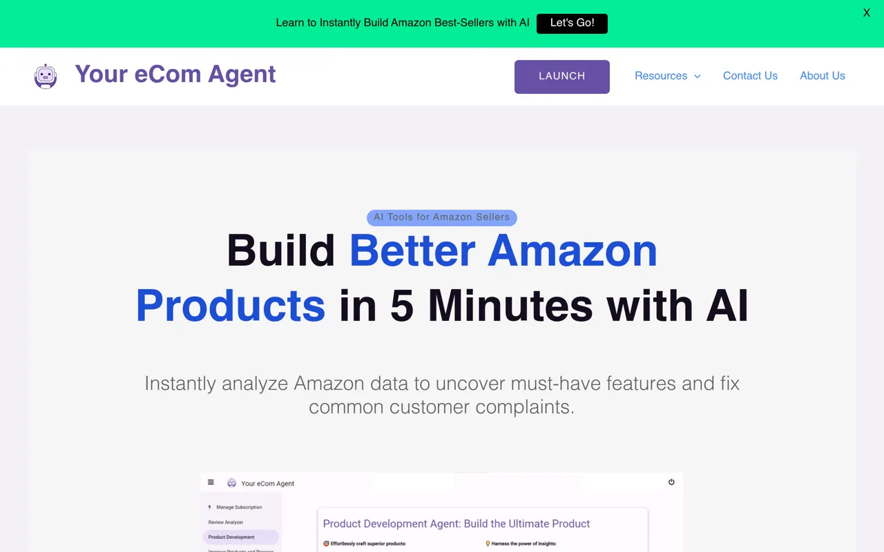 Screenshot of Your eCom Agent