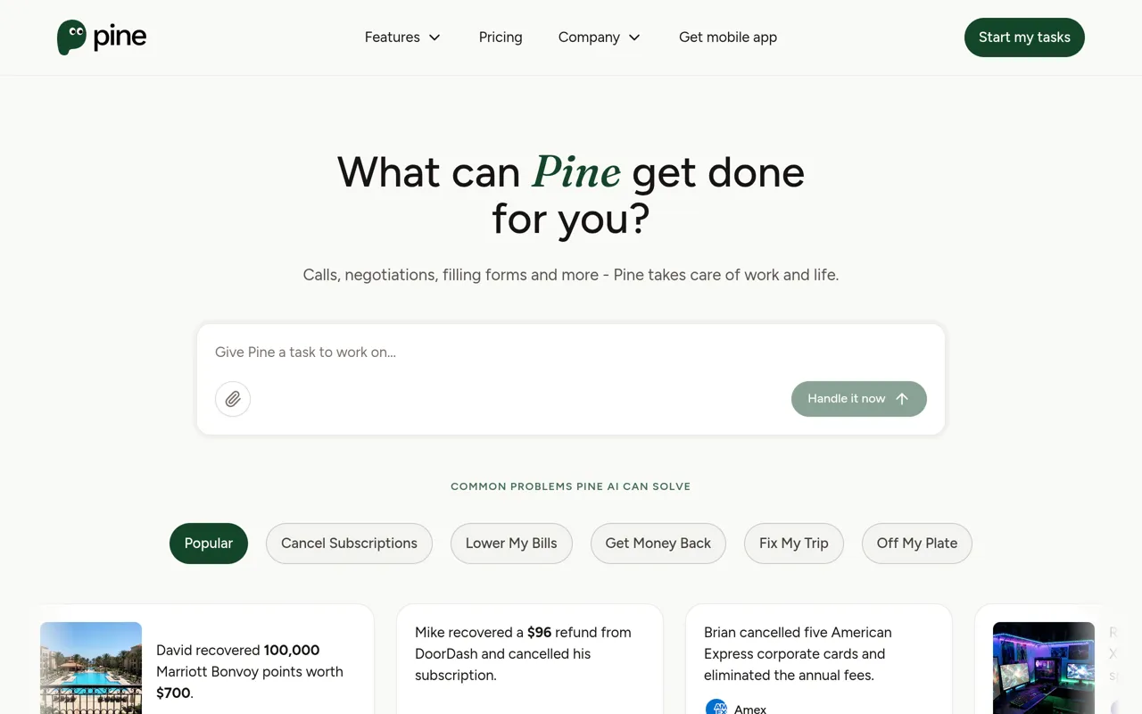 Screenshot of Pine AI