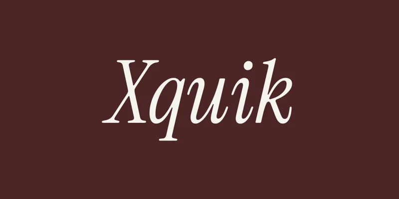 Screenshot of Xquik