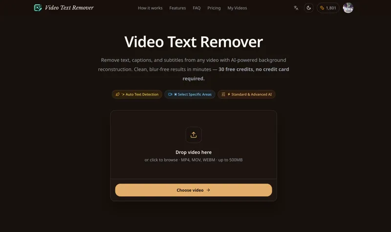 Screenshot of Video Text Remover