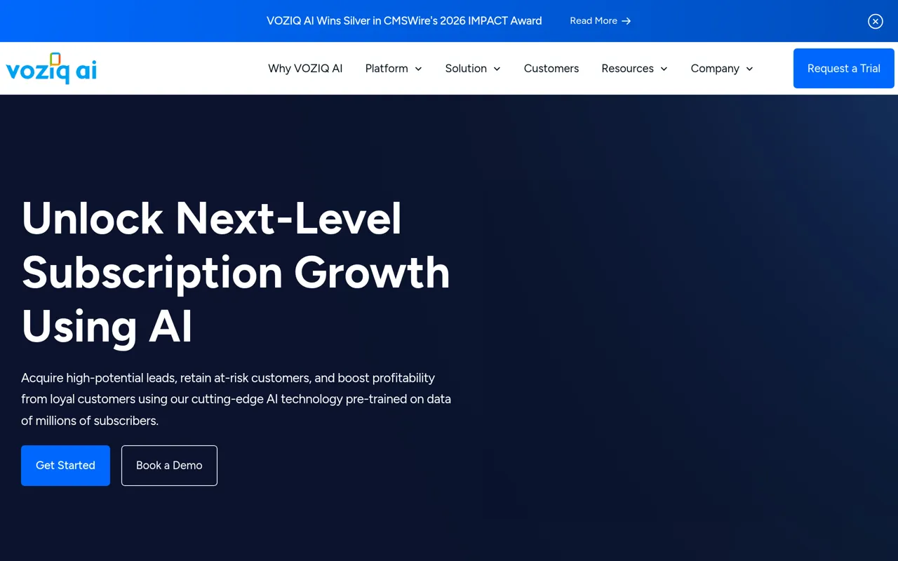 Screenshot of VOZIQ AI