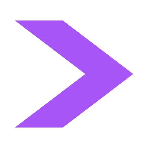 Voidpay MCP
