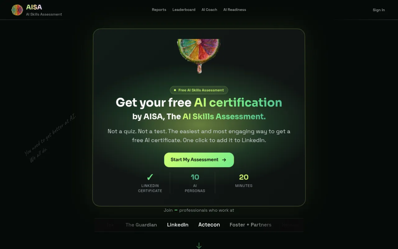 Screenshot of AISA — The AI Skills Assessment
