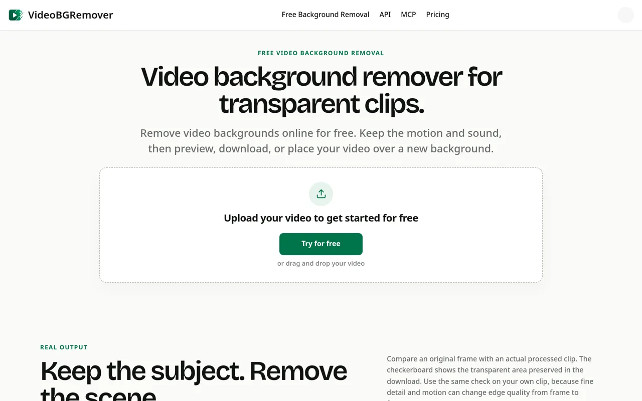 Screenshot of VideoBGRemover