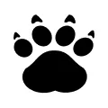 Cheeta