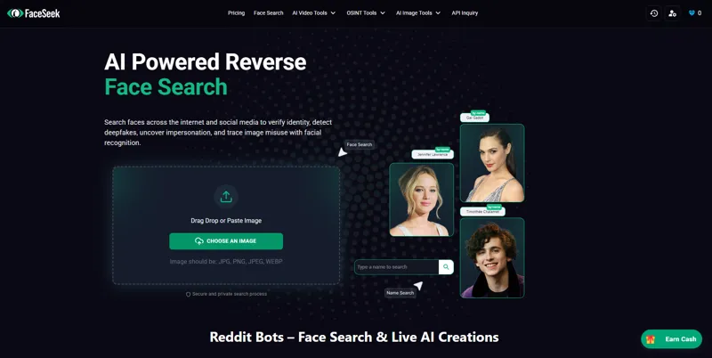 Screenshot of FaceSeek