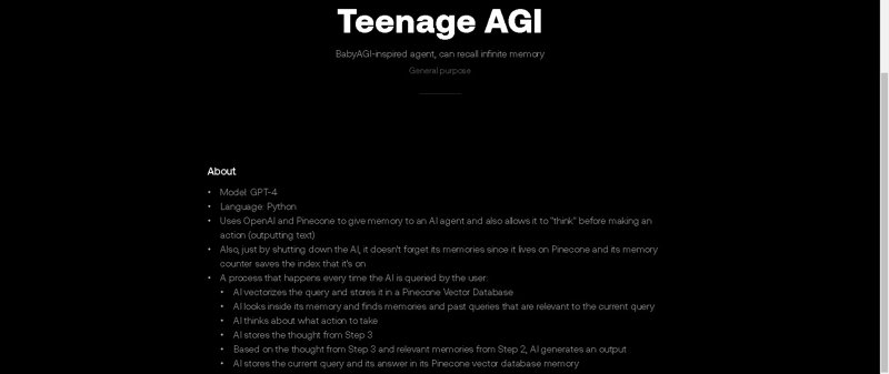 Screenshot of Teenage-AGI