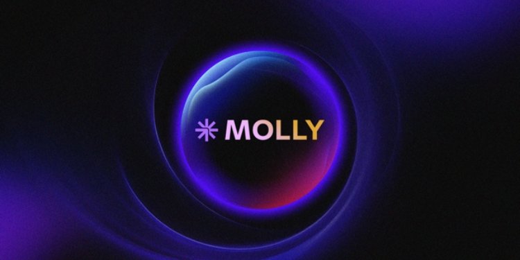 Screenshot of Molly