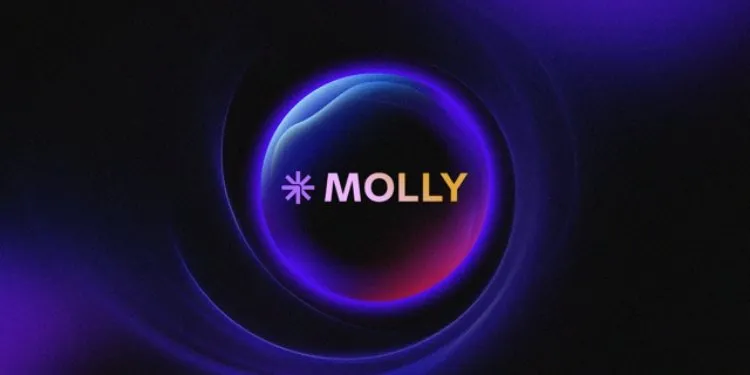 Screenshot of Molly