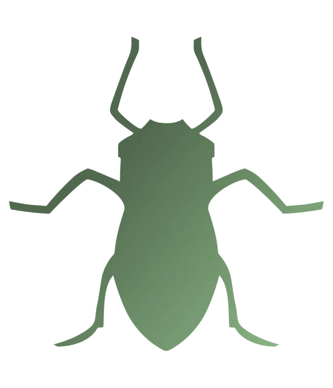 Aphid